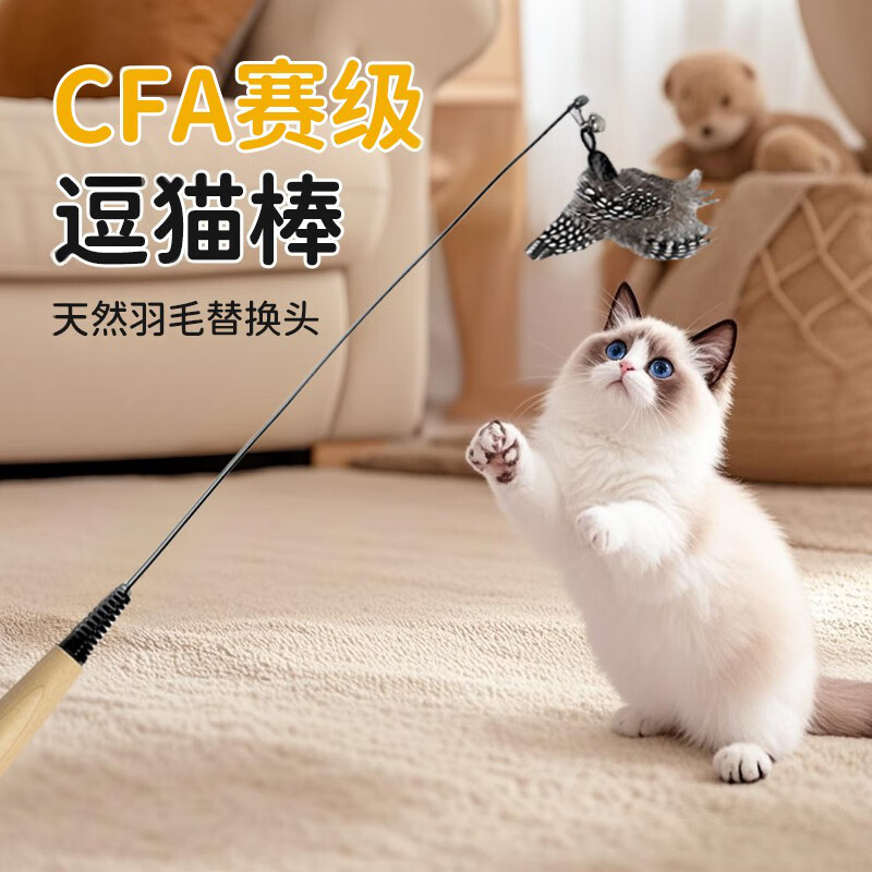 憨憨乐园 CFA赛级木柄弹簧猫咪逗猫棒珍珠羽毛铃铛可拆卸替换头耐用猫玩具