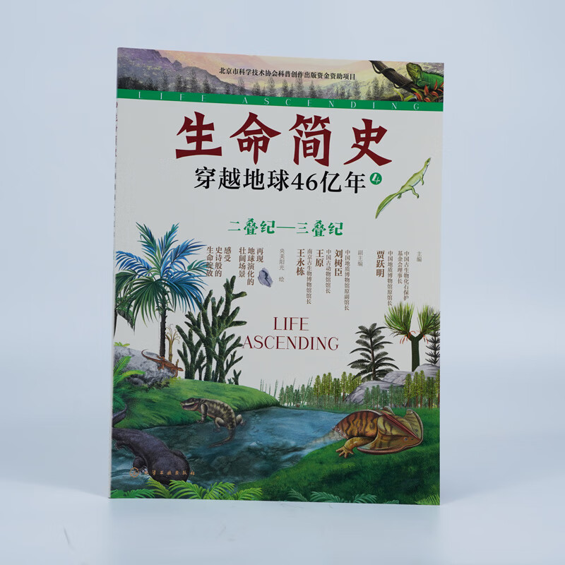 生命简史 穿越地球46亿年 4册 远古生物 入围2025中国好书 儿童中小学生青少年历史科普读物宇宙起源地球形成生命诞生史前世界探索