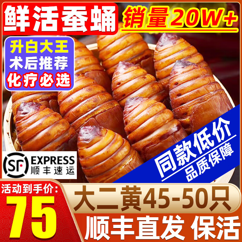 辽梦【销量20万+只】蚕蛹鲜活发货东北特产 新鲜茧蛹特级大黄蚕蛹蝉蛹 大二黄 净重500g【45-50只】