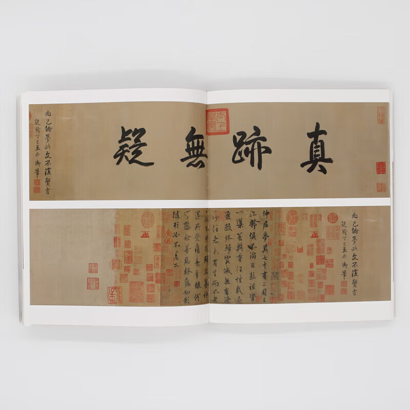 又见大唐 辽宁省博物馆唐代精品书画瓷器图录+导读 辽宁美术出版社 又见大唐