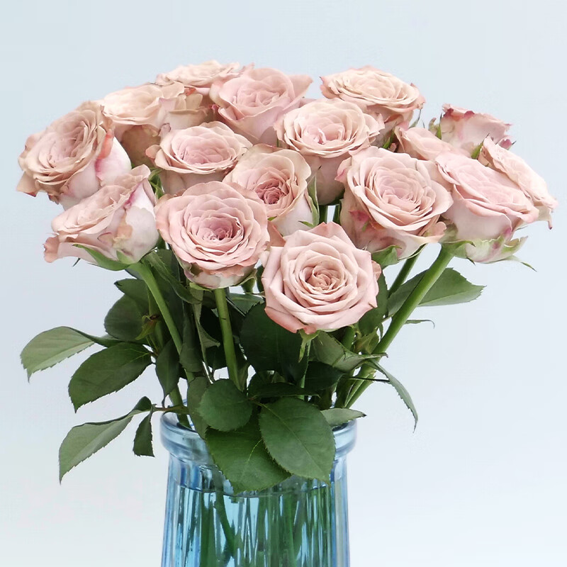 ������ŵõ��16֦ 4֦���� ���ϻ���˳�ᾩ��ֱ��