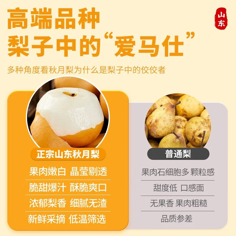 京丰味梨子 正宗山东秋月梨脆甜 当季整箱新鲜水果 中秋送礼推荐 优选果单果5-6两净重4.5-5斤