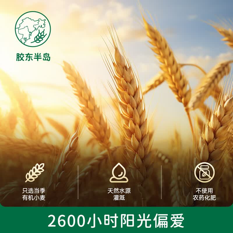 碧欧奇 婴幼儿辅食面条强化钙铁锌营养分阶宝宝面条儿童早餐挂面 8-12月+6盒有机组】线面2蝴蝶面2贝壳面2