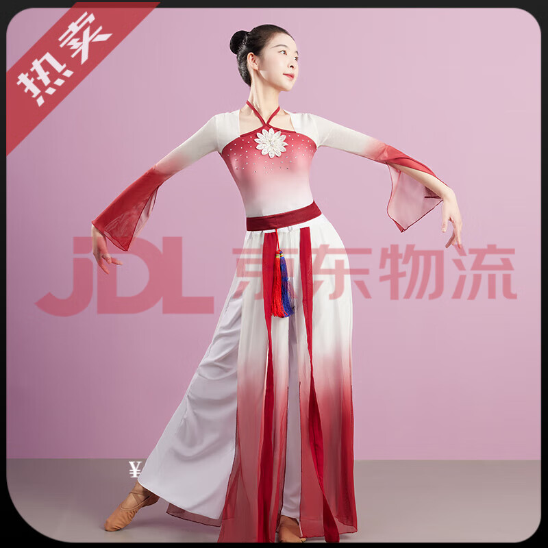 鐵箭（TIEJIAN）官方旗艦新品古典舞蹈服女飄逸練功紗裙演出身韻中國新款專(zhuān)用長(cháng)款 紅茶色 S