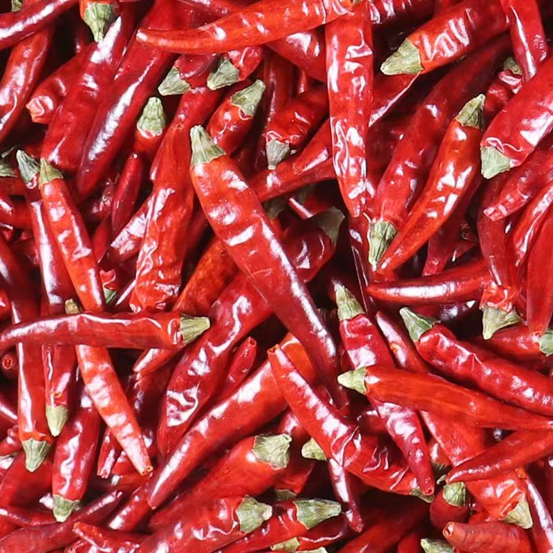 2025新货贵州高山辣椒遵义满天星特香特辣颗粒饱满干红辣椒特辣 贵州石柱红【中辣特香】 2500g【5斤很划算】