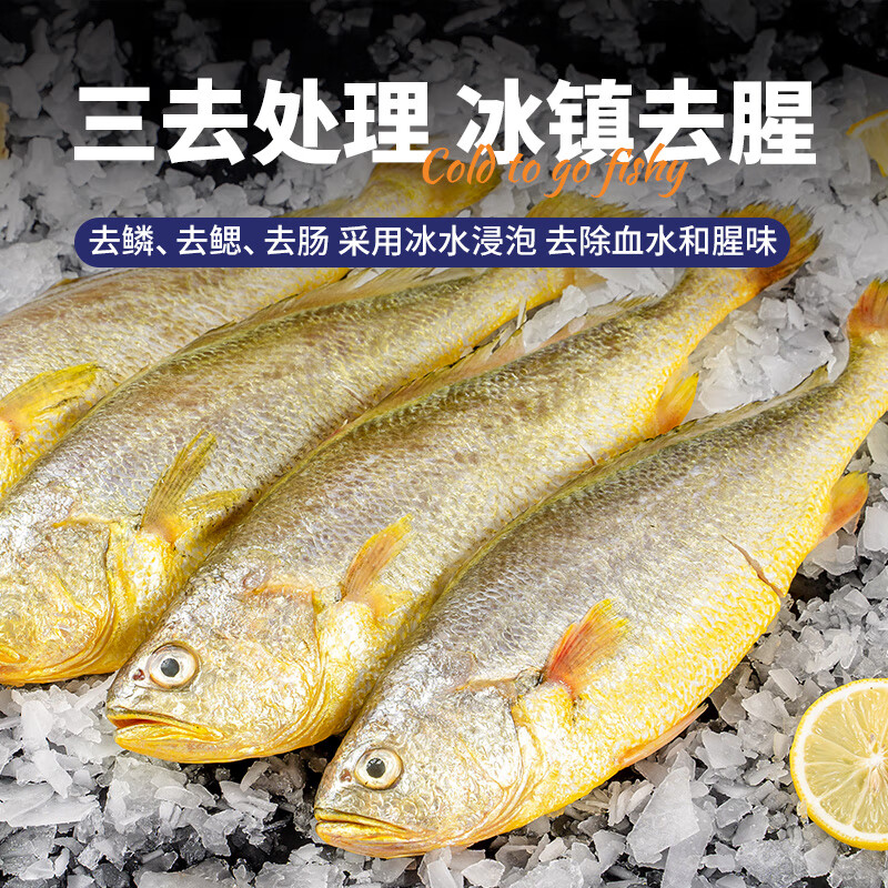 三都港三去黄花鱼宁德正宗大黄鱼新鲜冷冻生鲜海鲜水产海鱼烹饪食材鱼类 三去黄花鱼300g*2包(到手4条)