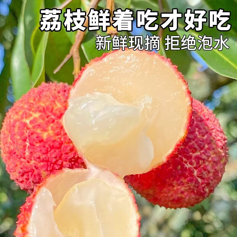 三萌果蔬海南无核荔枝【JD顺丰空运-闪送】新鲜荔枝水果礼盒端午节送礼 7A级精品果丨1斤约20-24个 5斤装【80%的人选-超划算】净4斤