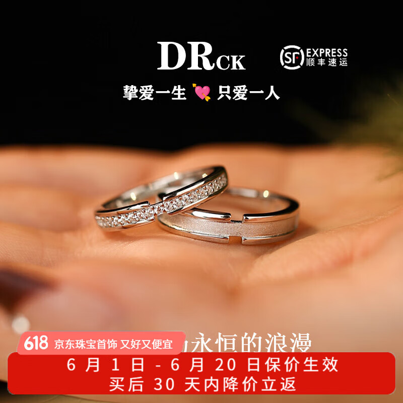 DR CK情侣对戒纯银戒指素圈女小众高级感七夕情人节送女友老婆生日礼物 蒹葭对戒【女戒闭口+男戒闭口】 13号女士圈