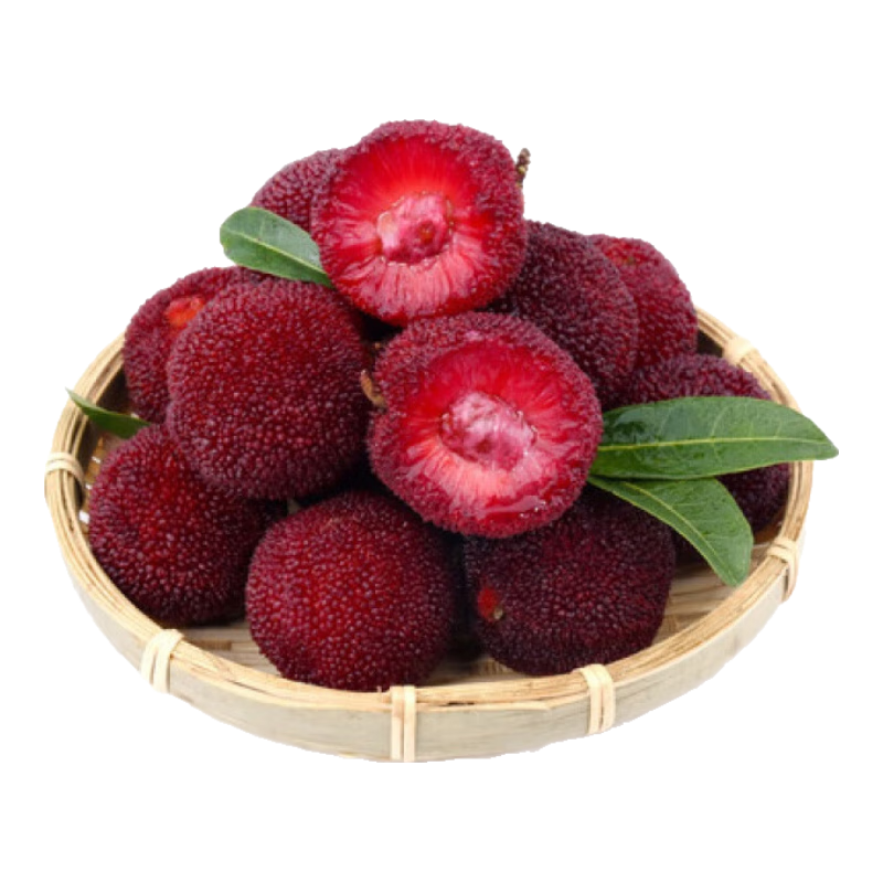 ��Դ��������÷�ɾӴ�Ϫ�䶳��÷������÷�и�ˮ�� �䶳��÷2�� 137.94Ԫ��3��(��45.98Ԫ/��)