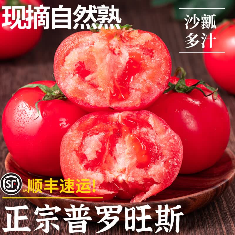译优农【顺丰速运】正宗新疆普罗旺斯沙瓤西红柿自然熟水果番茄新鲜蔬菜 净重4.5- 5斤 中果【约12-16枚】