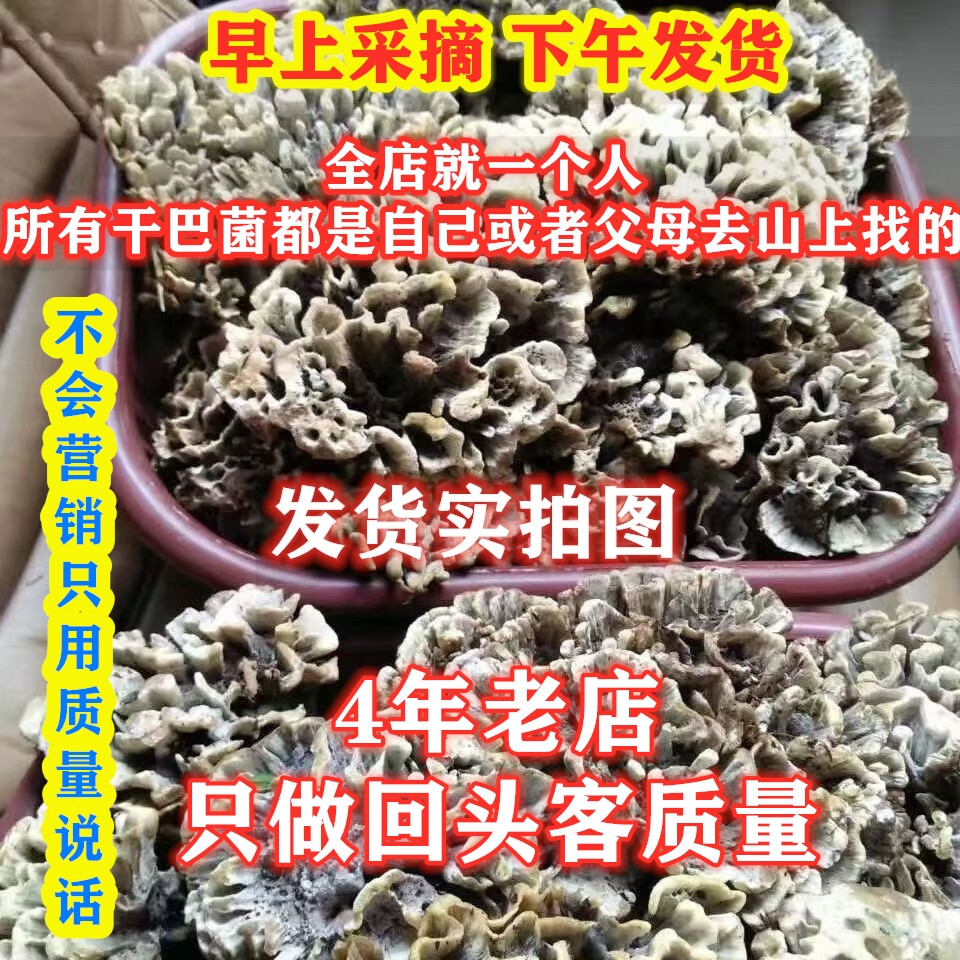 干巴菌新鲜云南特产干巴菌新鲜蘑菇马云南野生菌顺丰空运现货2025 100g精品质量干巴菌