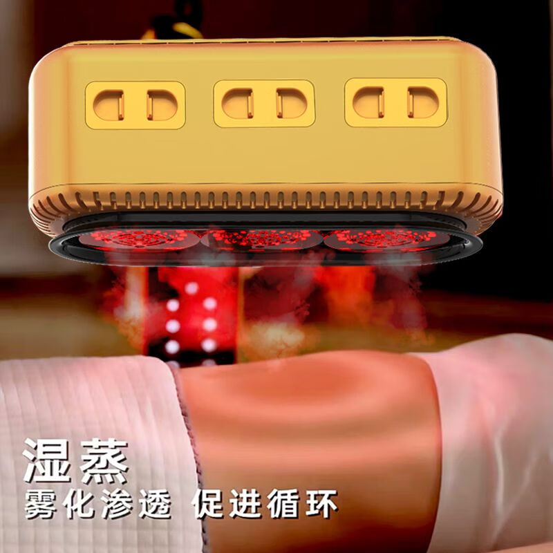 艾灸仪器家用艾灸熏蒸仪美容院专用一体机多功能随身艾灸灯加艾绒 安心购:下单满300咨询送艾 顶配[加强版干湿三仓十二