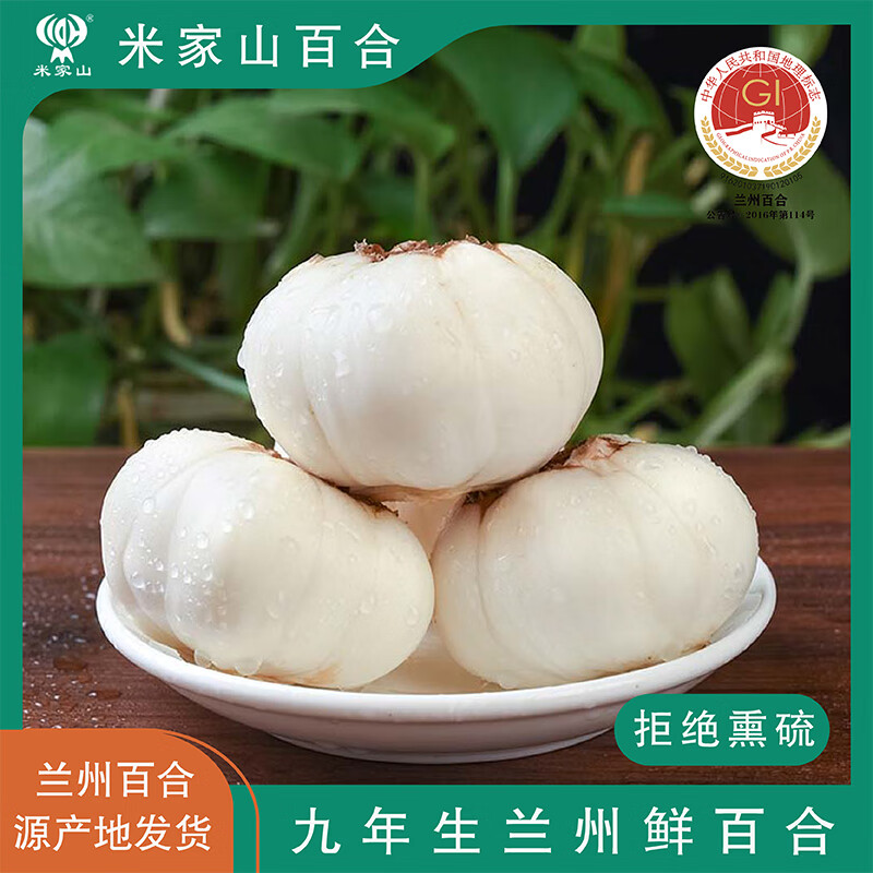 米家山甘肃兰州新鲜百合有机百合产地直发鲜百合现挖食用特产蔬菜甜百合 独头 普通礼盒 (3斤装)顺丰航空