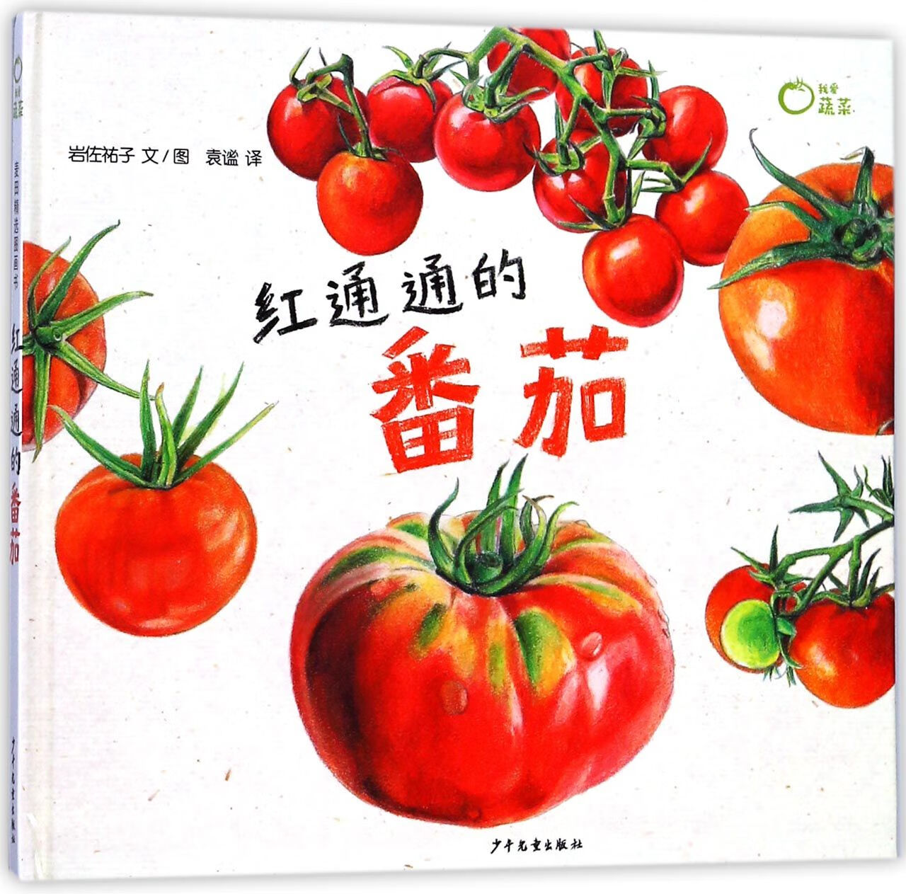 官方正版红通通的番茄(精)/我爱蔬菜(日)岩佐祐子|译者:袁谧|绘画:(日)岩佐祐子9787558901065少年儿童2018-01-01