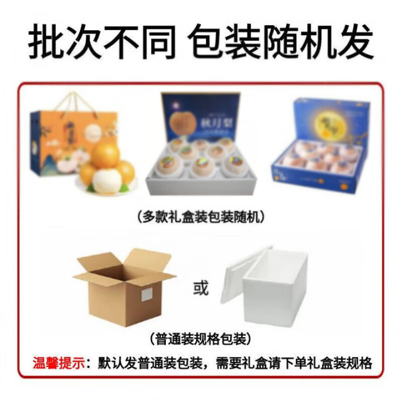 呈鲜果农正宗秋月梨 山东梨子脆甜 当季新鲜水果整箱 中秋送礼推荐 5斤装优选果单果5-6两净重4.5斤+