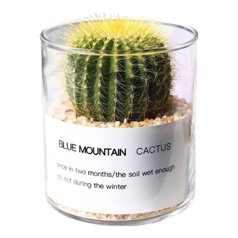 ֲСԿɰֲ ++ƽɰ+Ӫ  9.98Ԫ