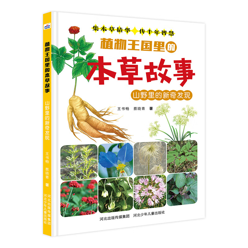 植物王国里的本草故事：山野里的新奇发现 