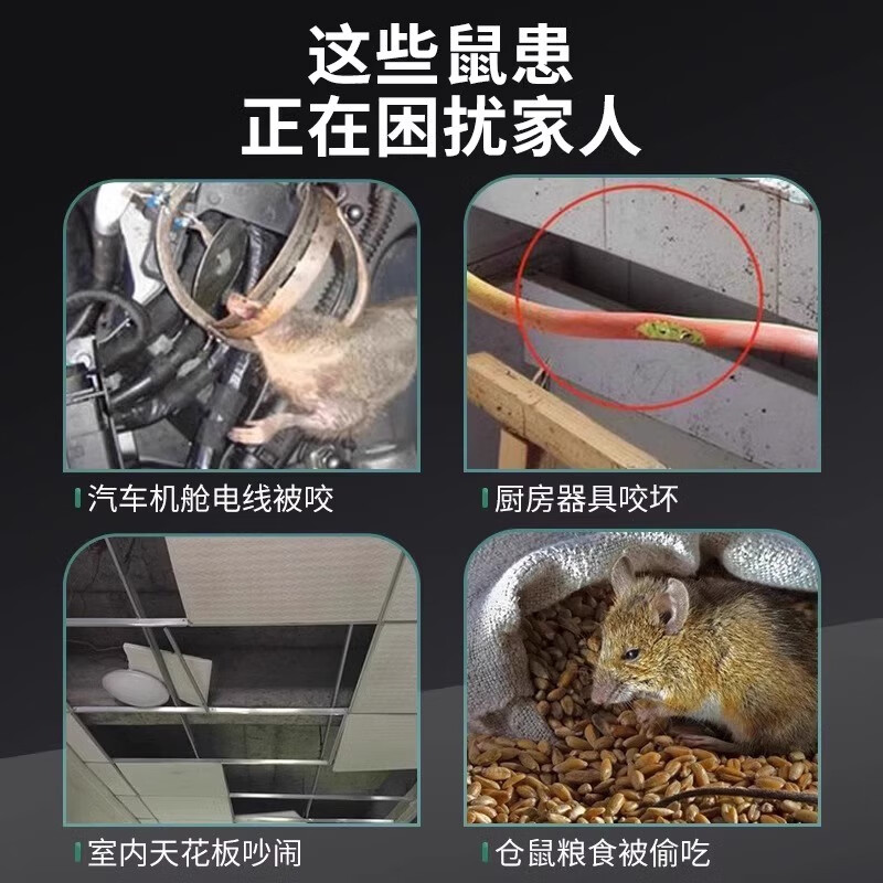 户净老鼠药特效三步到一闻就死一窝全端老鼠驱赶神器强力驱鼠丸驱鼠器 1盒【老鼠闻味逃】