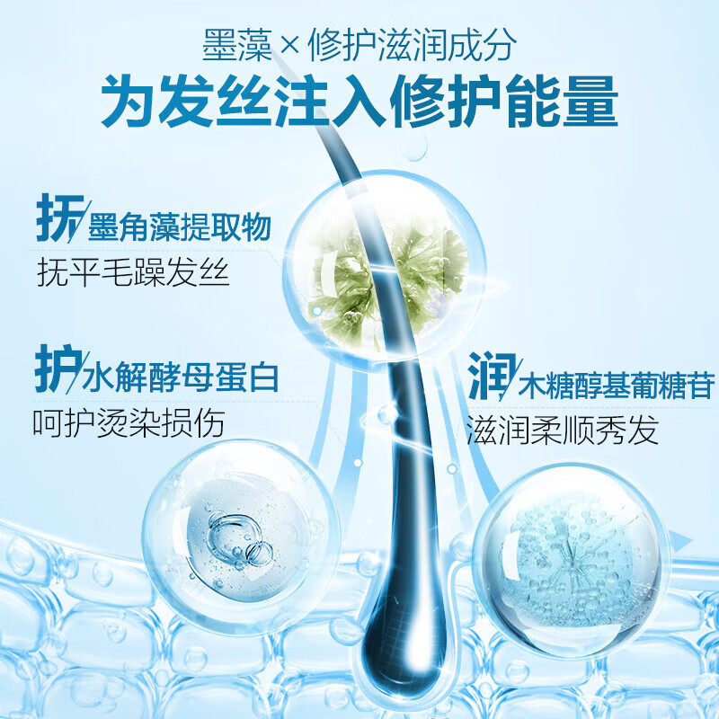 b2v墨藻修护洗发水乳膏滋润发质洗发露男女士抚平毛躁烫染修护 墨藻柔滑修护 380ml*1瓶
