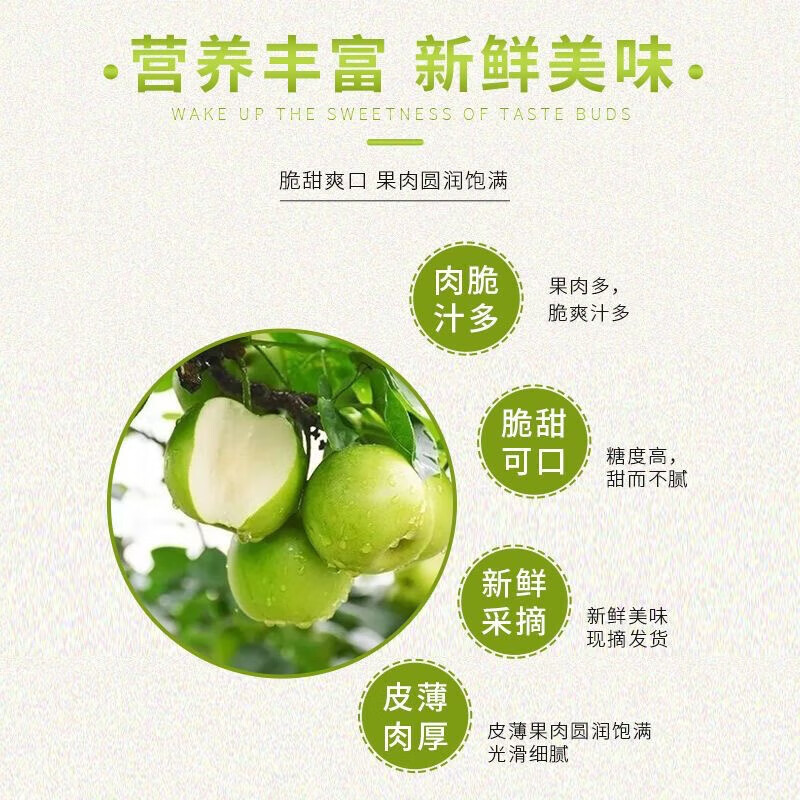 京觅安徽砀山青梨 净重4.5斤 单果230g+ 6-9个 青皮皇冠梨 源头直发