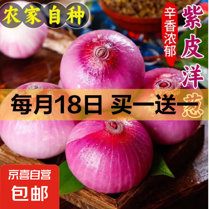 京喜加自营新鲜洋葱生鲜蔬菜水果紫洋葱即食凉拌大葱头 精选洋葱 500g