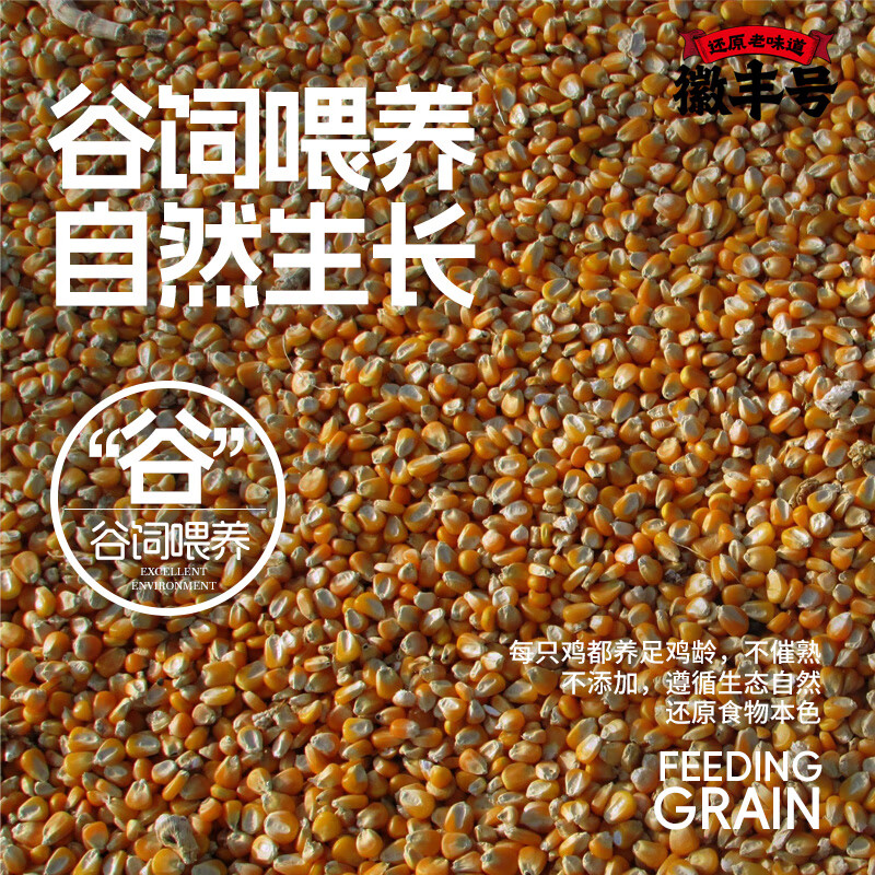 徽丰号 徽州童子鸡3只装 无抗标准谷饲喂养真空净膛生鲜冷冻鸡肉 650g3只装