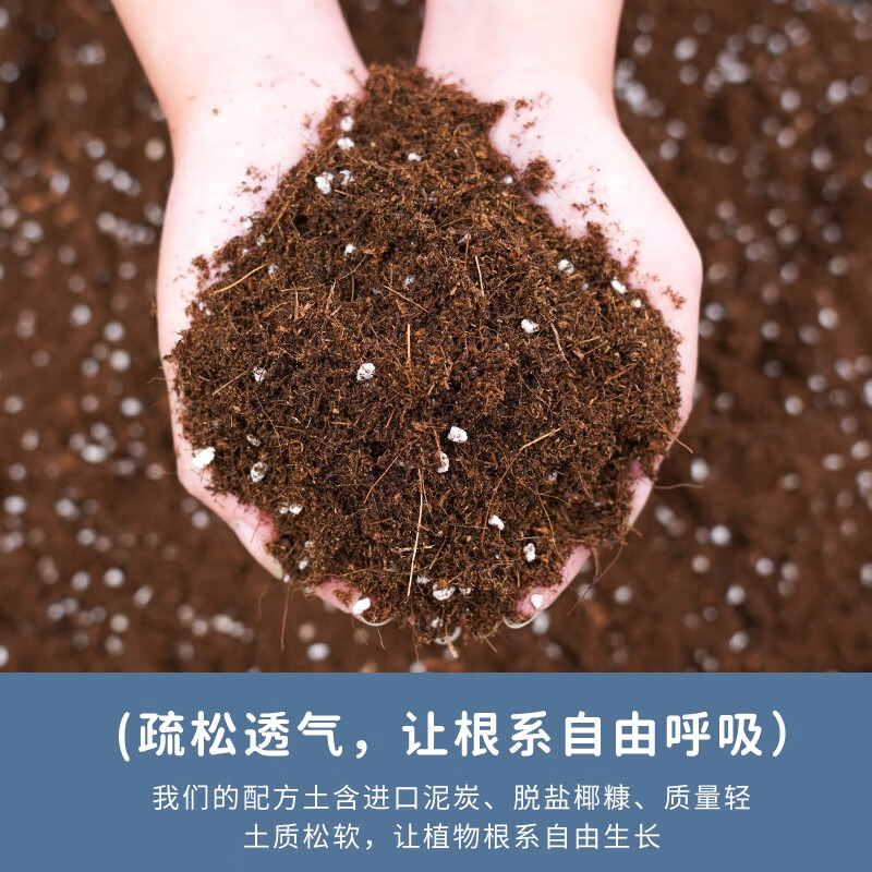 花美诺营养土养花专用通用型家用种菜种花多肉植物盆栽泥炭种植花土壤 轻质灭菌营养土50升【通用】