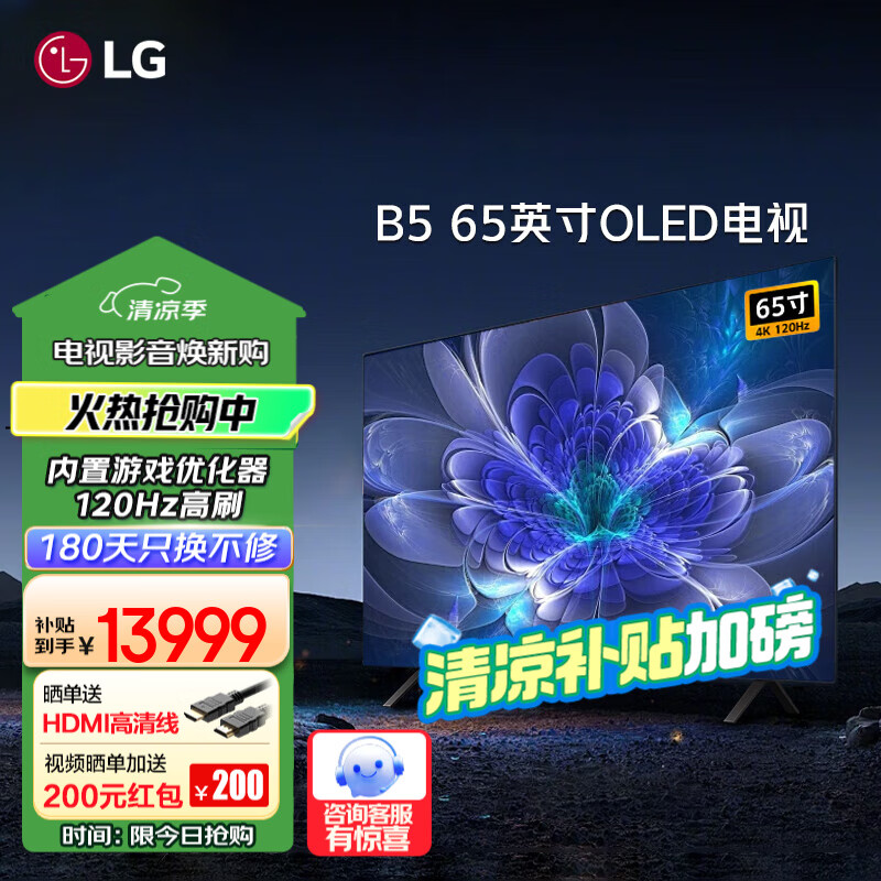 LG电视机48/55/65/77/83英寸B5系列超薄智能OLED游戏4K高清全面屏120hz高刷杜比视界0.1ms低延迟响应 65英寸 OLED65B5PCA