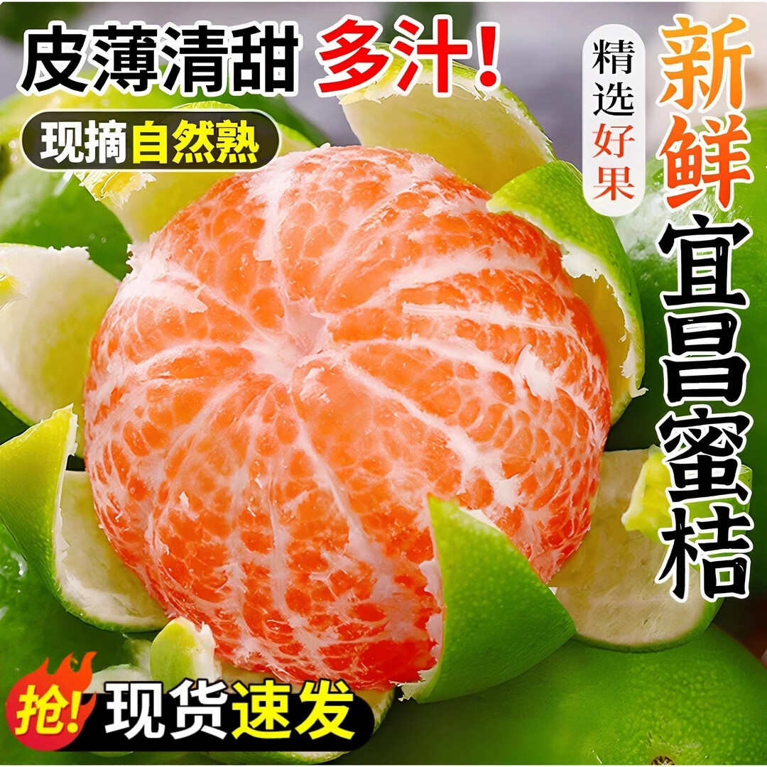 宜昌蜜桔特早青皮蜜桔 新鲜时令水果薄皮柑橘子宝宝孕妇手剥整箱团购 【惠】净重9斤大果 60mm+