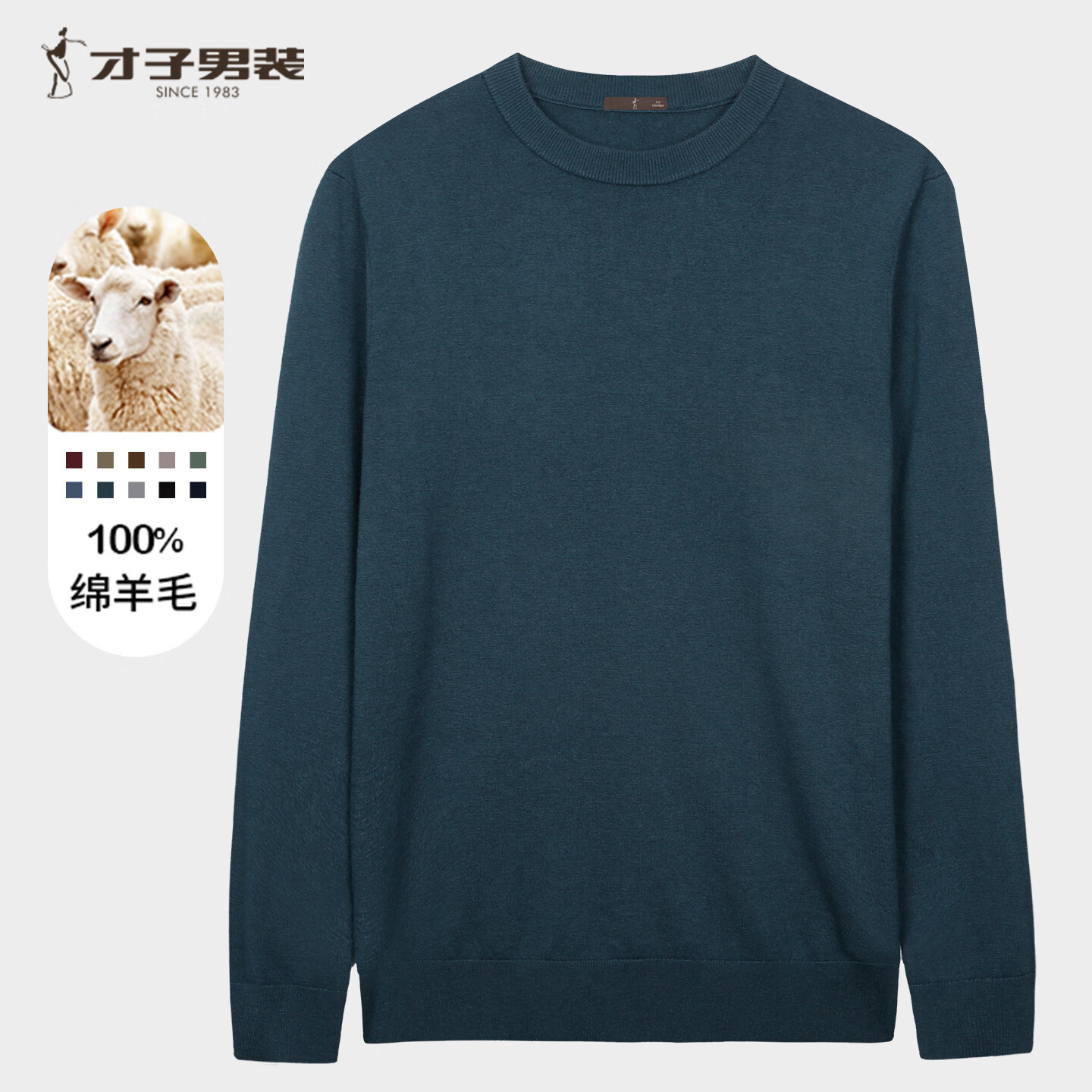 才子（TRIES）【100%纯羊毛】男士毛衣男秋冬圆领修身毛衫轻柔保暖针织打底衫 灰蓝色 L 48 (170/88A)