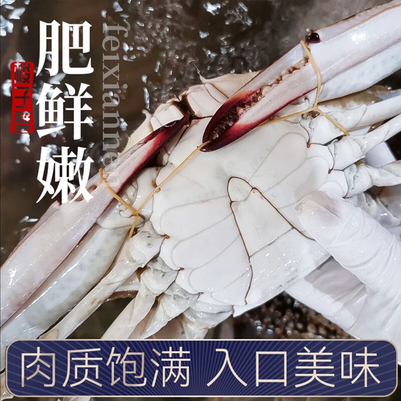 梭子蟹特大活冻野生新鲜大螃蟹大蟹生鲜水产飞蟹大肉蟹 船头手挑巨无霸 【9两以上】5斤