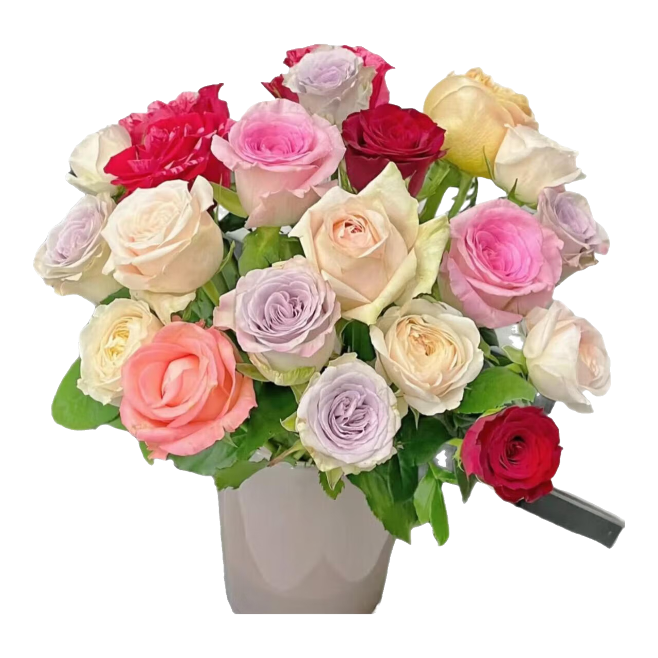 ��õ�廨������ͬ���ʻ���������ֱ���������л�����ƿ��Ϧ������ ��ɫ˯��10֧���ݷ���