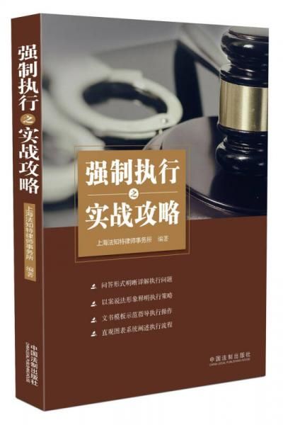 【正版包邮】强制执行之实战攻略