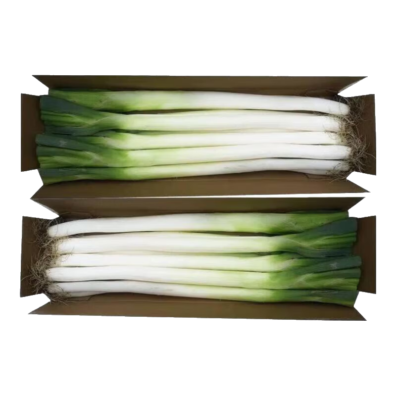 山东正宗铁杆大葱新鲜净葱长白葱蔬菜调料火锅食材蘸酱清甜脆嫩 净葱去皮去半叶尝鲜1斤净重