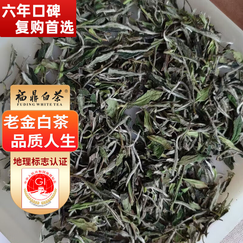 ��ݳ������ײ�2025���²��Ұ������������ĵ��ɢ��Ԥ�� 255�ˡ��������ס�