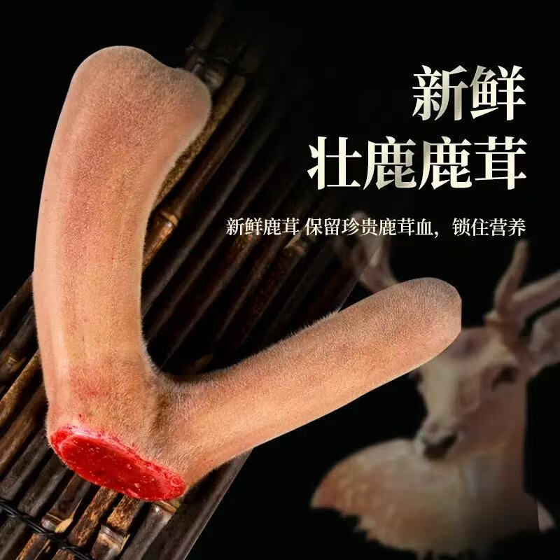 CLCEY双阳鹿场新鲜现割头茬二杠梅花鹿鹿茸整根鹿茸泡酒含血高货礼盒装 二杠整枝600g( 礼盒装可备注连刀切) 1支*1盒