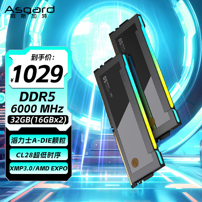 阿斯加特（Asgard）32GB(16GBx2) DDR5 6000 台式机内存条 博拉琪II代 RGB灯条 海力士A-die CL28 极夜黑