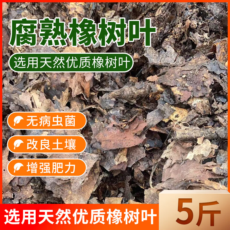 花諾腐熟純橡樹葉君子蘭專用有機(jī)腐葉土天然腐熟純松針蘭花專用營養(yǎng)土 【沖量】腐熟純橡樹葉5斤(無土腐