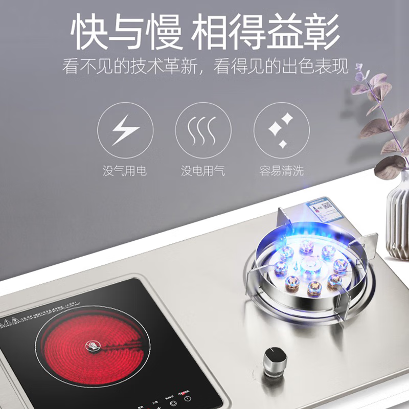 東洋（TOYO）一气一电燃气灶两用气电灶家用厨房3500w电磁炉不锈钢猛火直喷纯铜炉盖煤气灶可拆卸电陶炉 【左直喷右陶】猛火灶+3500w电陶炉 液化气