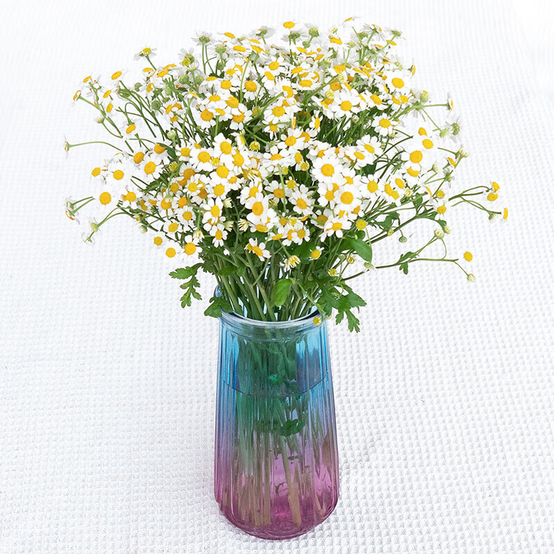 ����ʾա�Ů������﹩���ʻ����������л�����ֱ���ջ������ɰ� ��ʾ�5֦