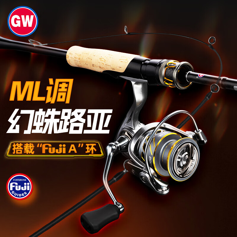 ������GW��2.1��ML������ֱ���ĳ���·�Ǹ���װ��������������·�Ǹ���� 294.75Ԫ