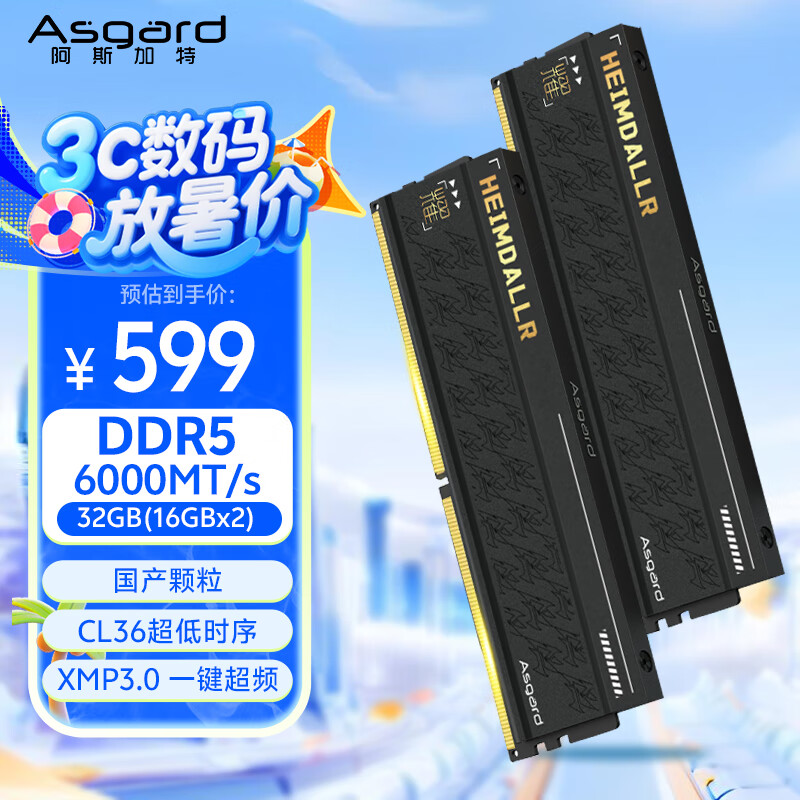 阿斯加特（Asgard）32GB(16GBx2) DDR5 6000 台式机内存条 海姆达尔x耀 马甲条 国产颗粒 CL36 黑厚甲