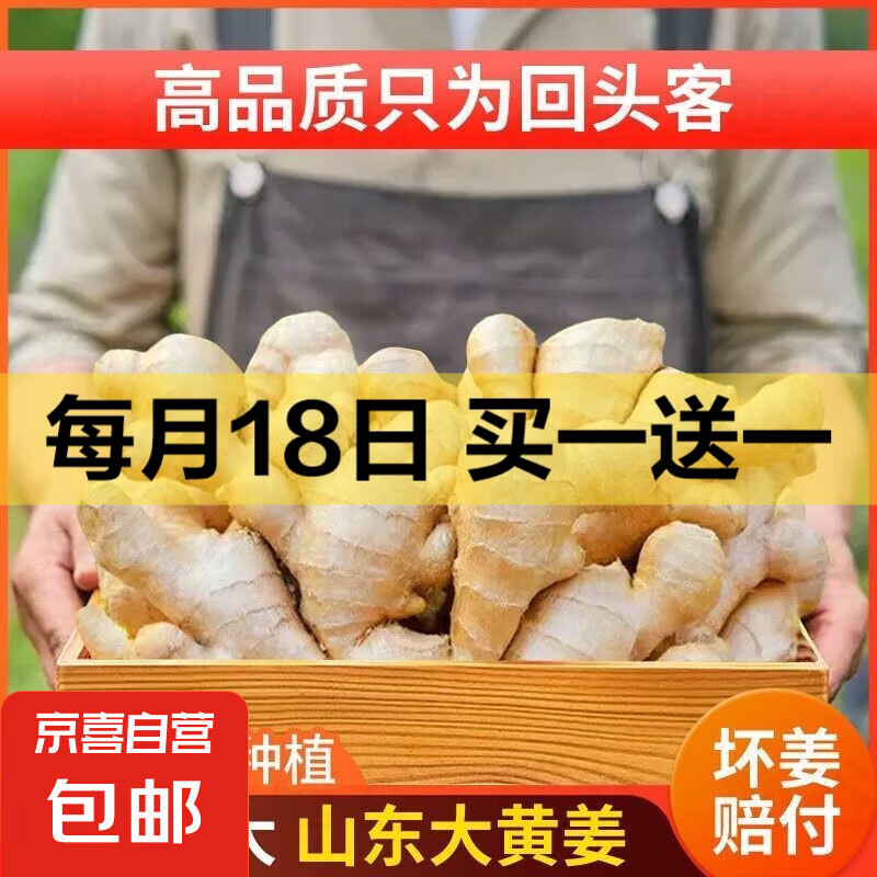 山东新鲜大姜超市生鲜蔬菜老姜即食水果生姜水洗净姜 山东大姜净重 1斤