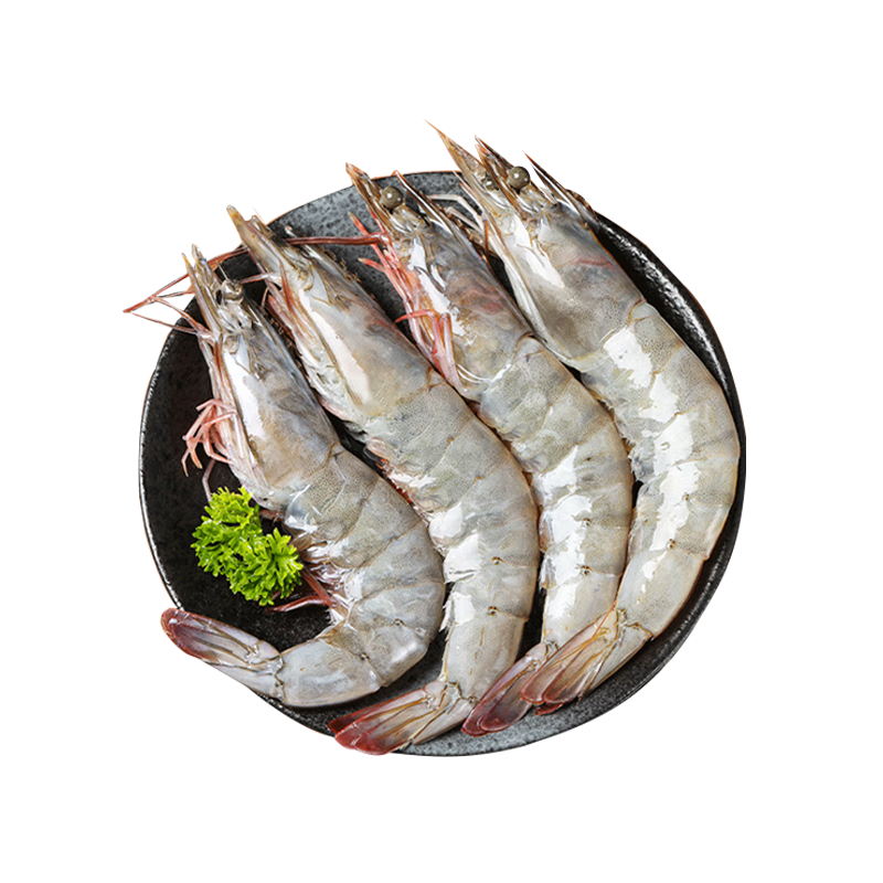 ����Ǣ �����ش�Ϻ�� 17-21cm 3�ﾻ�� �ൺ��Ϻ���� �������ֲ�����69.8Ԫ