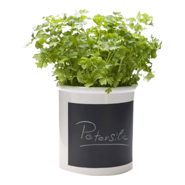 ��������ԡ�СҶ������� 1��Լ1000�� ��̨�������������߲� 1.44Ԫ(����ȯ)