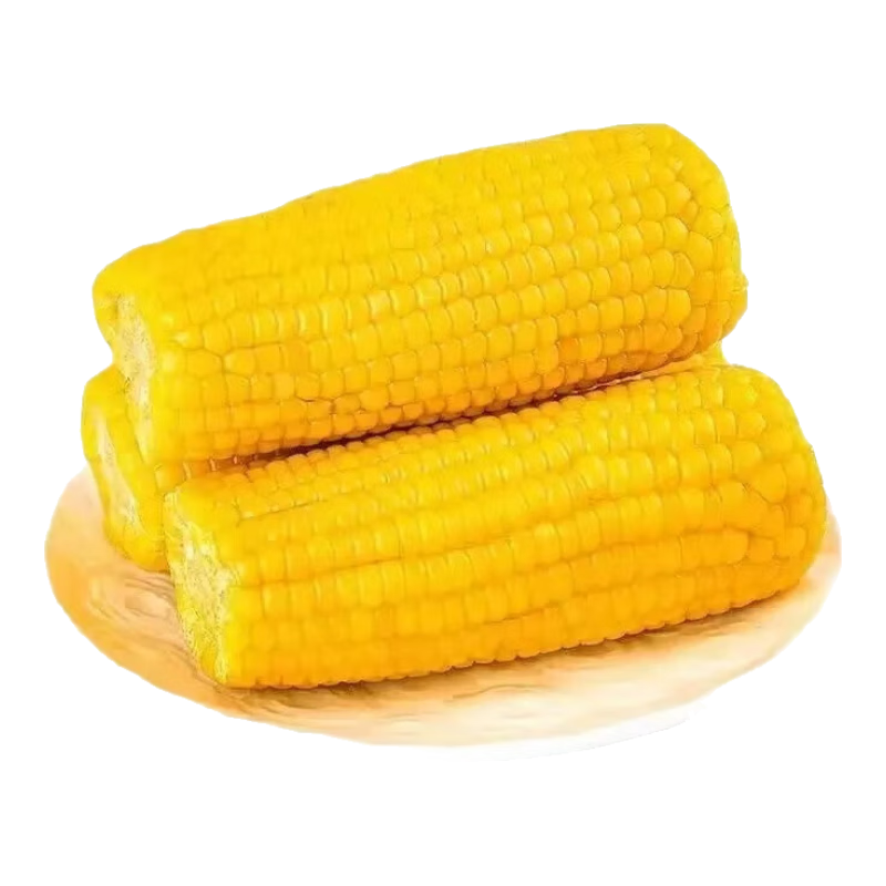 北典农甜糯黄玉米真空包装早餐食品粘玉米超市糯玉米减脂餐  2-3斤【5-7根】