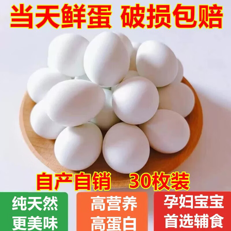 農(nóng)家土鴿蛋新鮮精選30枚裝五谷雜糧喂養(yǎng)白鴿蛋孕媽特產(chǎn) 12枚