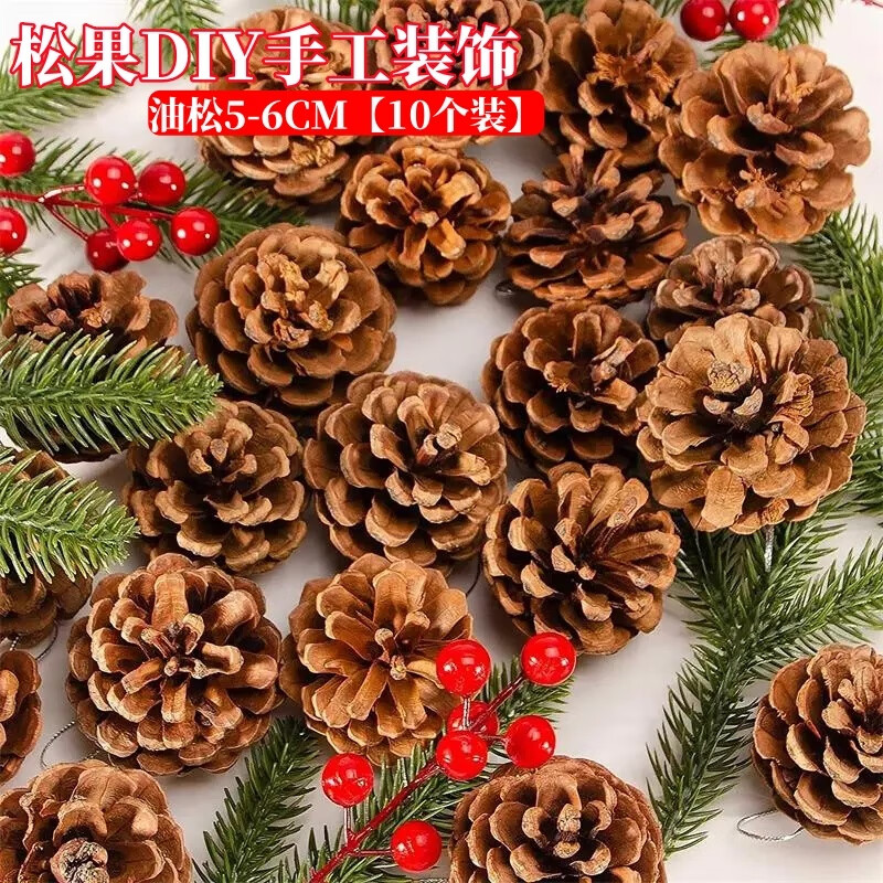 浴米松果松塔装饰diy材料包摆件干花幼儿园天然儿童手工环创树枝挂饰 油松5-6CM【10个装】