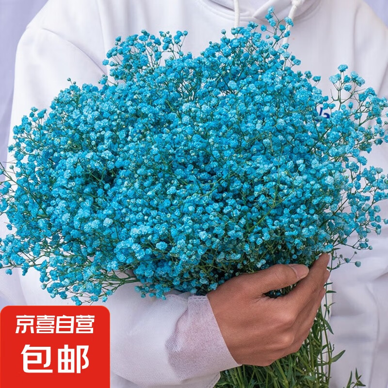 ��ɫ�����Ǹɻ�����װ�ΰڼ������ʻ�ֱ���ӼҲ廨�����廨 ��ɫ������200g