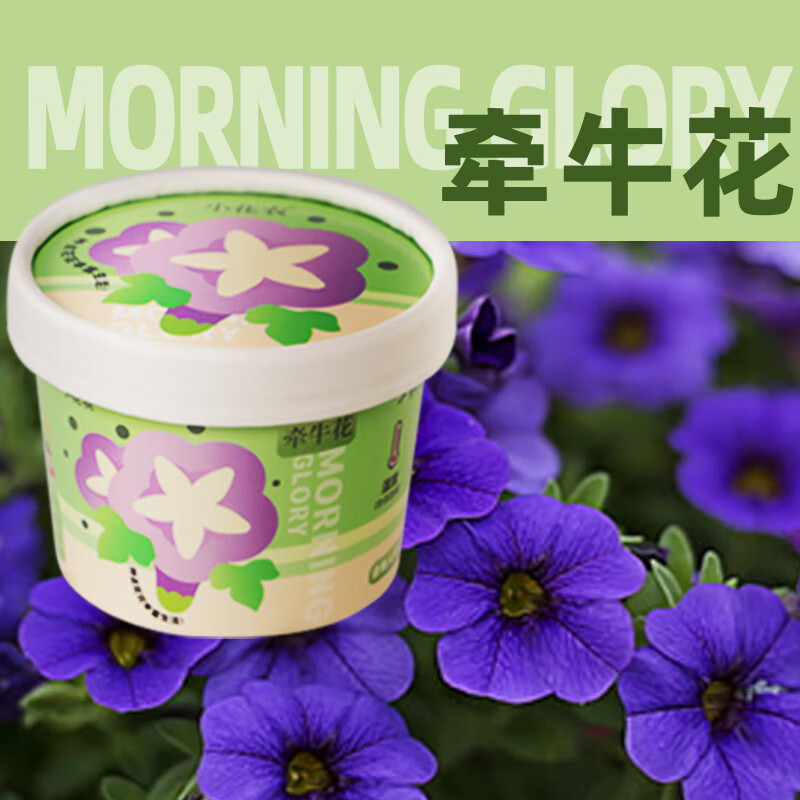 С��ũȤζ��ֲ ����С���� ֲ�������۲���װ �칫����ֲ Ȥζ��ֲ��-ǣţ��